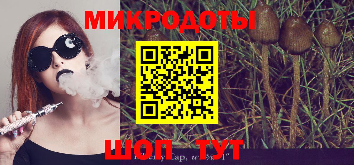Галлюциногенные грибы Psilocybe Домодедово